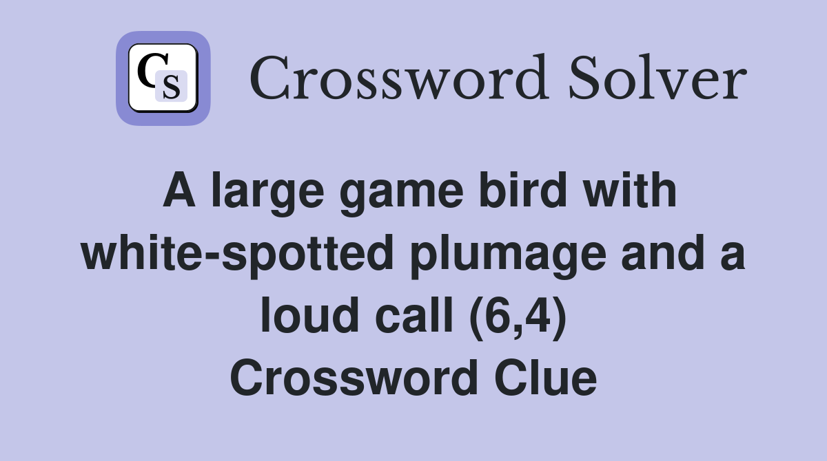 A large game bird with whitespotted plumage and a loud call (6,4